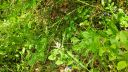 Název souboru=b20160718_200439_28629.jpg
Velikost souboru=3220KB
Rozměry=3264x1840
Datum přidání=24. Srpen 2016 b20160718_200439_28629.jpg