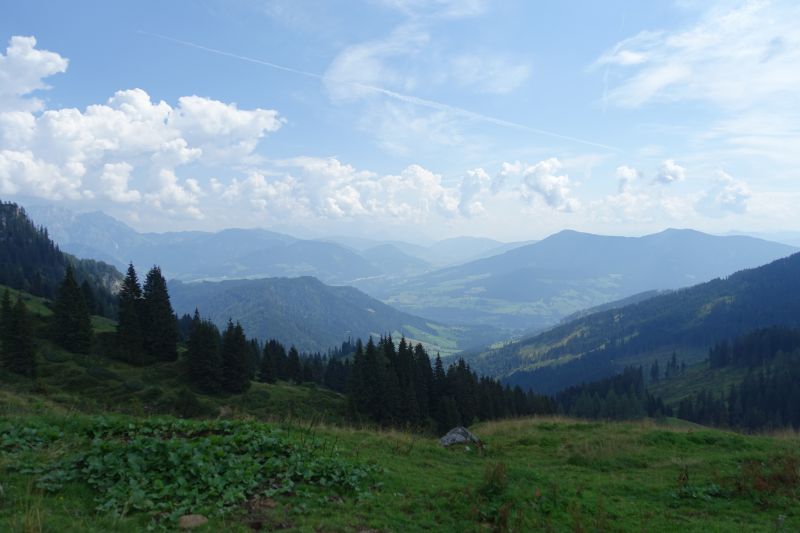 DSC00139.JPG