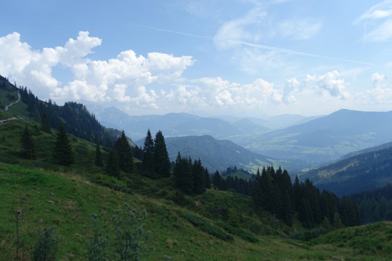 DSC00140.JPG