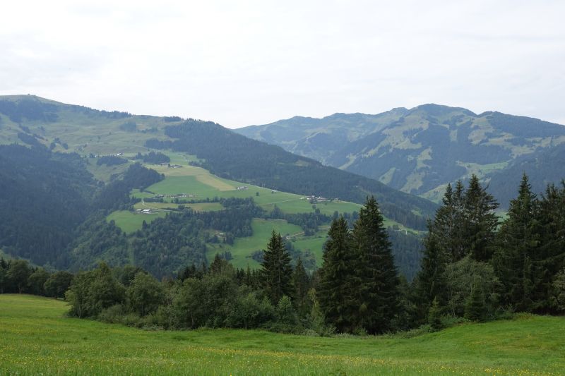 DSC00183.JPG