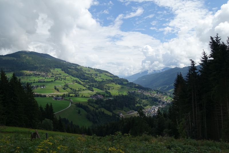 DSC00264.JPG