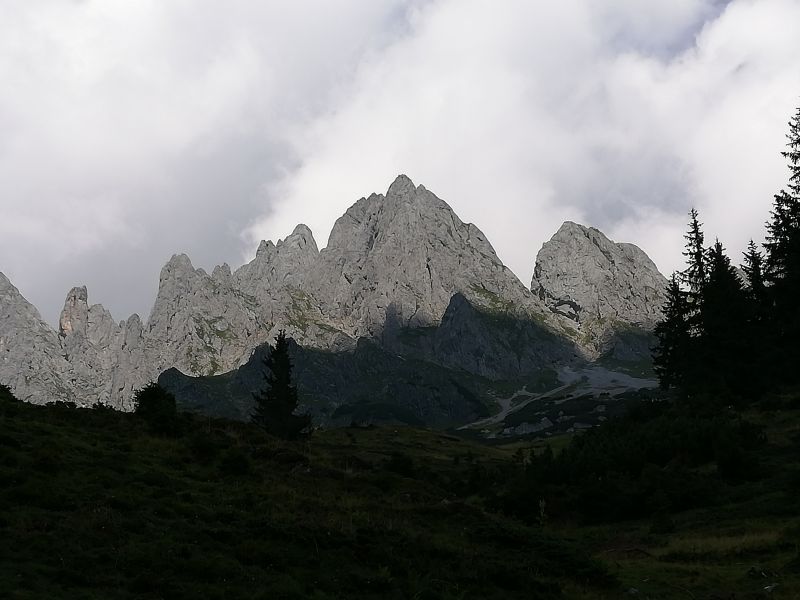 IMG_20200812_114116.jpg