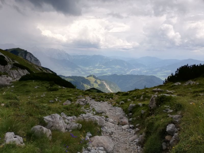 IMG_20200813_135731.jpg