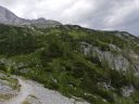 IMG_20200813_142849.jpg