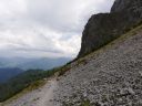 IMG_20200813_142856.jpg