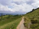 IMG_20200813_144819.jpg