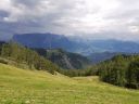 IMG_20200813_145006.jpg