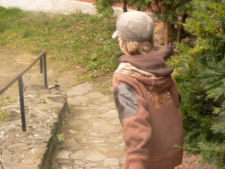 img00006.jpg