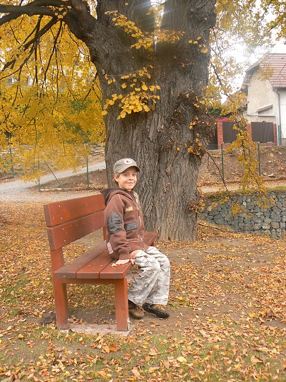 img00022.jpg