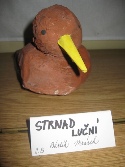 img00001.jpg