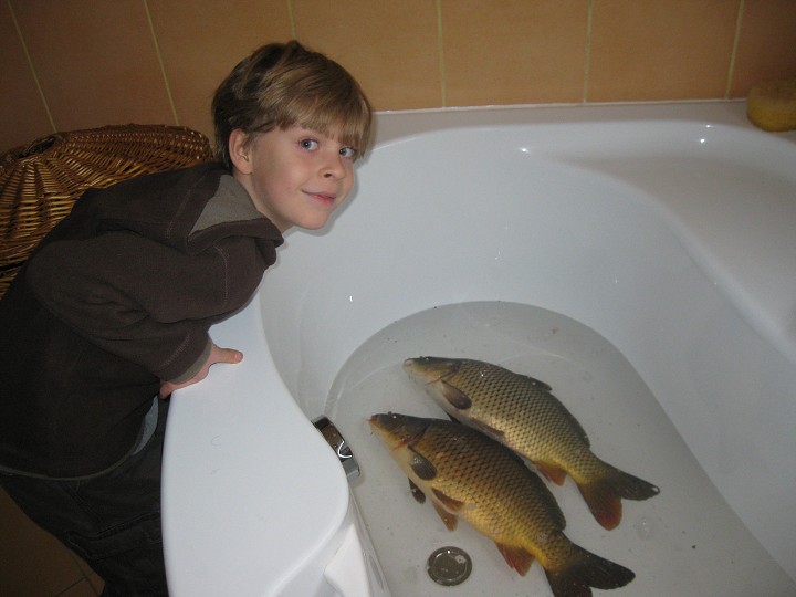 img00030.jpg