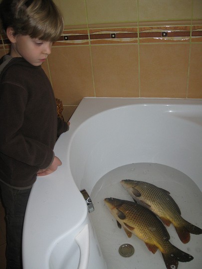 img00032.jpg