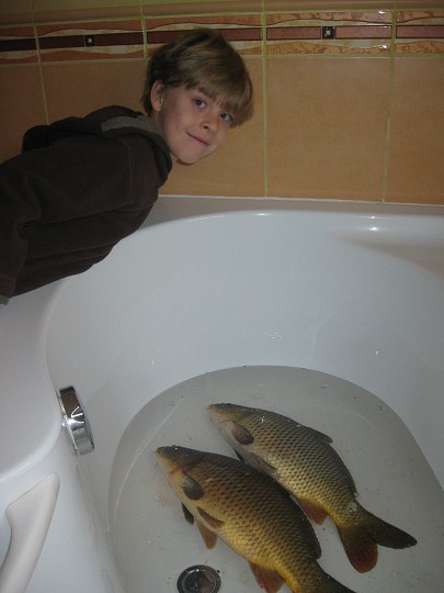 img00033.jpg