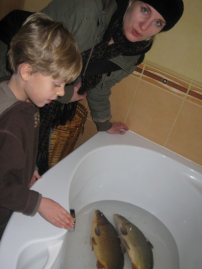 img00034.jpg