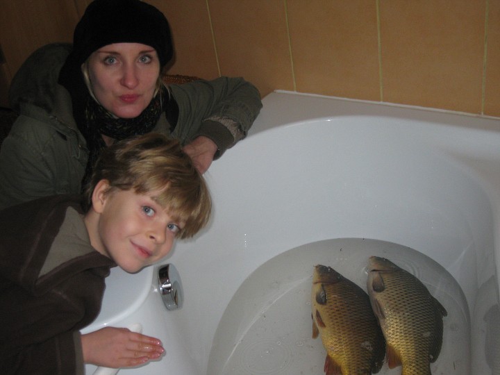 img00035.jpg