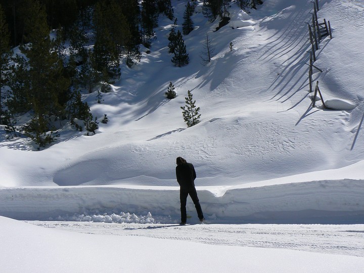 img00002.jpg
