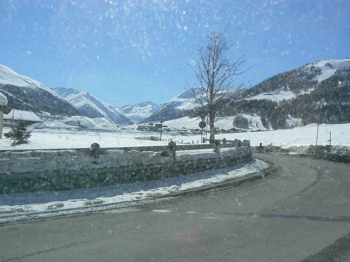 img00010.jpg