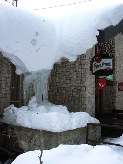 img00026.jpg