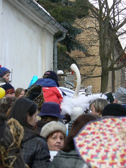 img00023.jpg