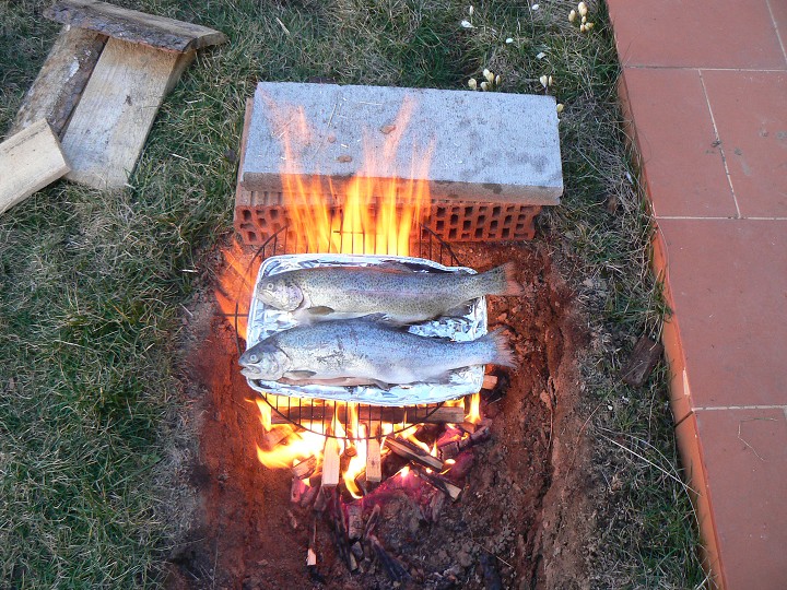 img00016.jpg