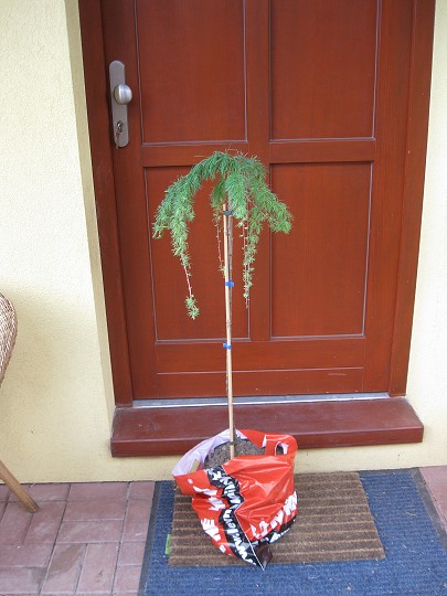 img00001.jpg