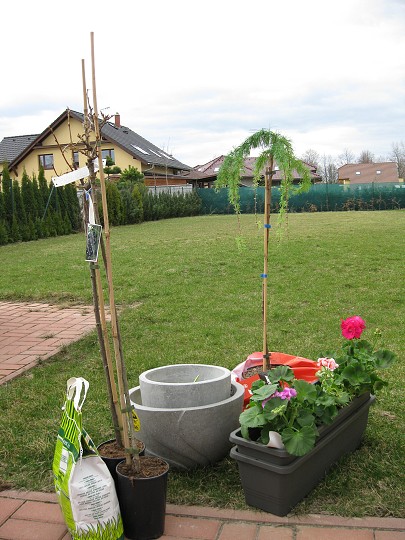 img00002.jpg