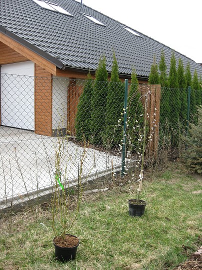 img00003.jpg