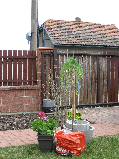 img00004.jpg