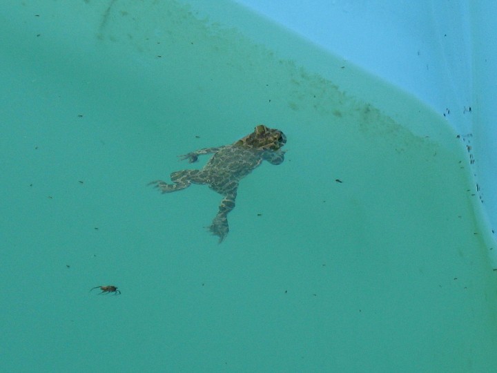 img00015.jpg