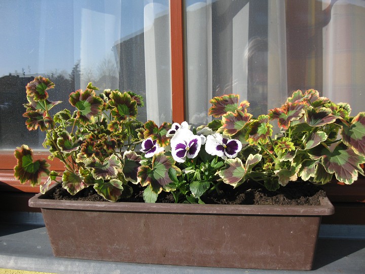 img00022.jpg