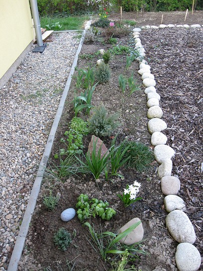 img00024.jpg