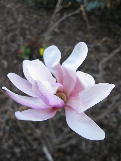 img00025.jpg