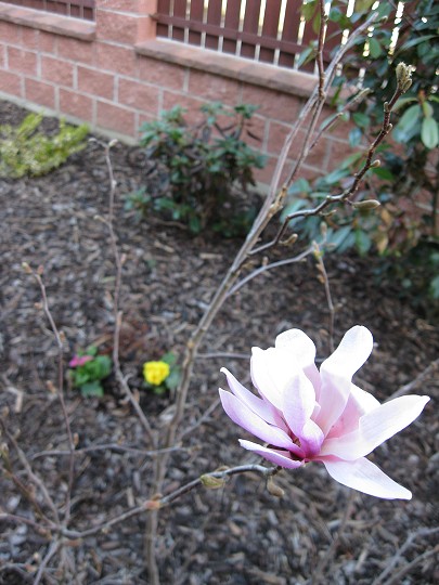img00026.jpg