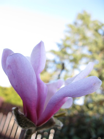 img00027.jpg