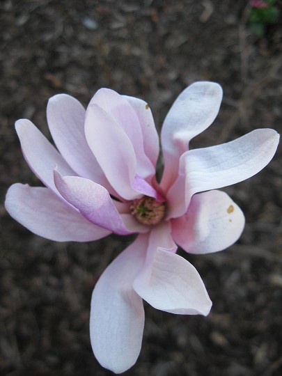 img00028.jpg