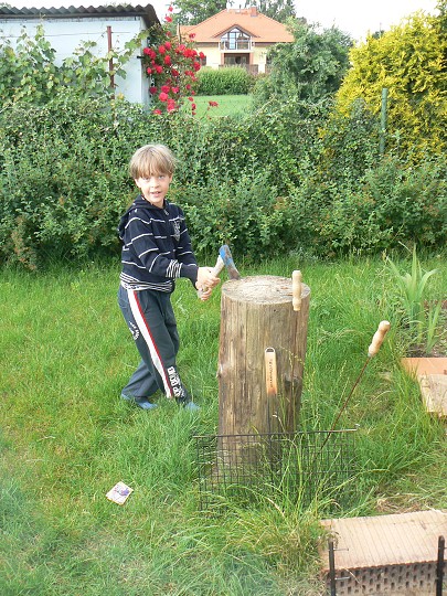 img00012.jpg