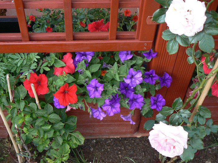 img00014.jpg
