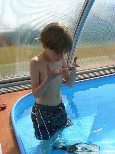img00034.jpg