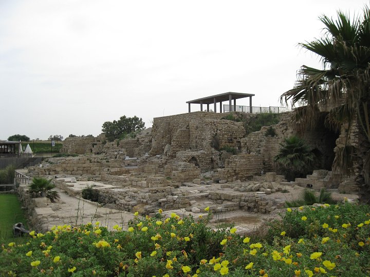 img00009.jpg