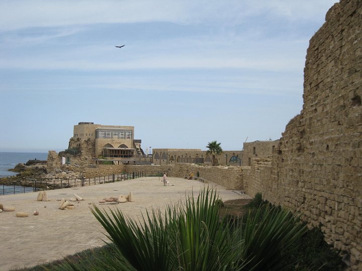 img00010.jpg
