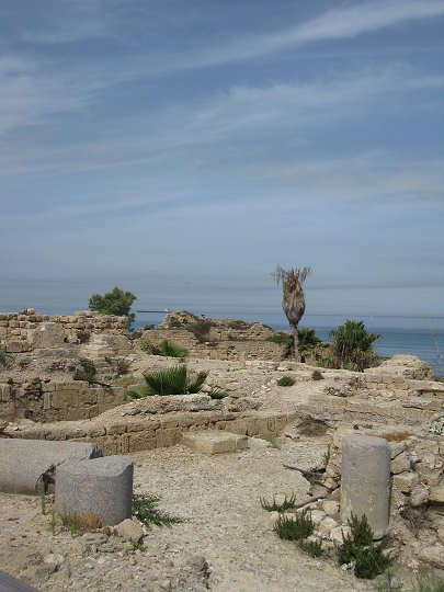 img00011.jpg