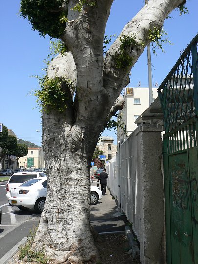 img00033.jpg