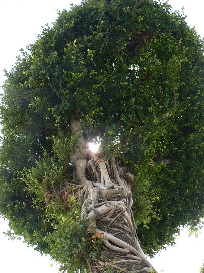 img00034.jpg