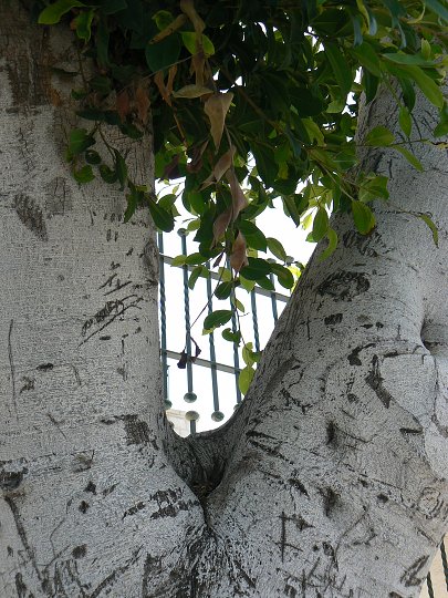 img00036.jpg