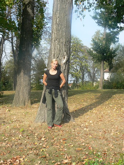 img00009.jpg