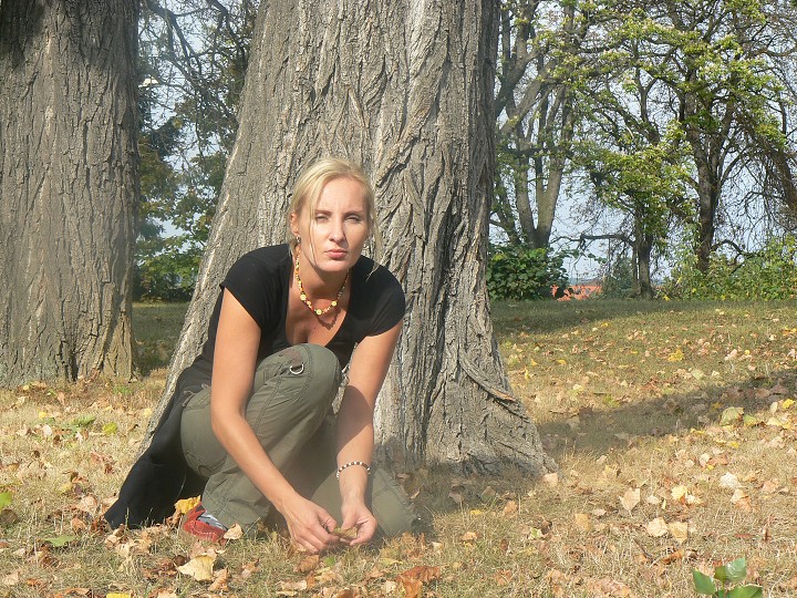 img00011.jpg