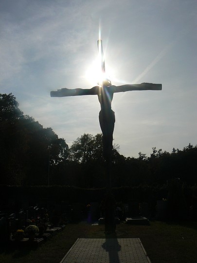 img00028.jpg