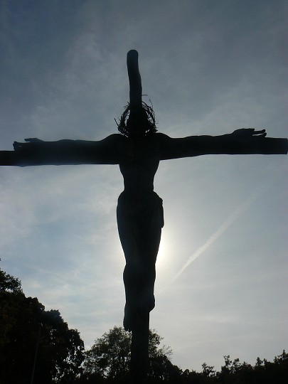 img00029.jpg