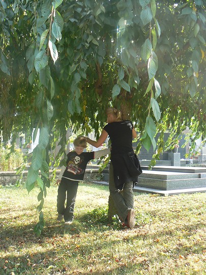 img00035.jpg