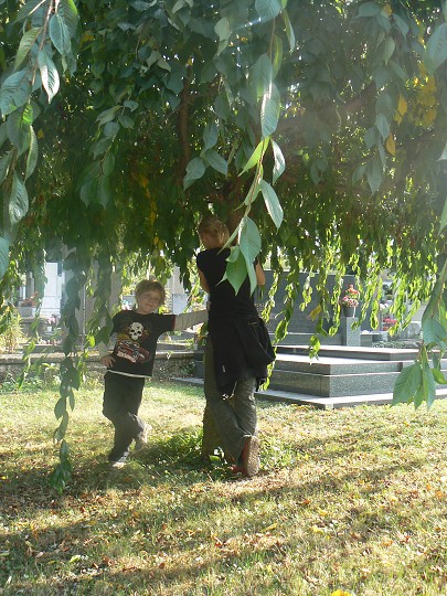 img00036.jpg